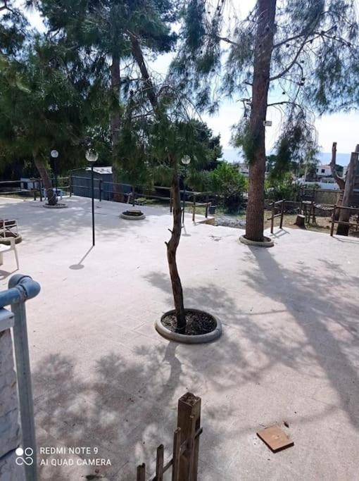 Appartamento In Villa Con Pineta Leporano Exterior foto